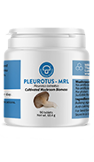 Pleurotus